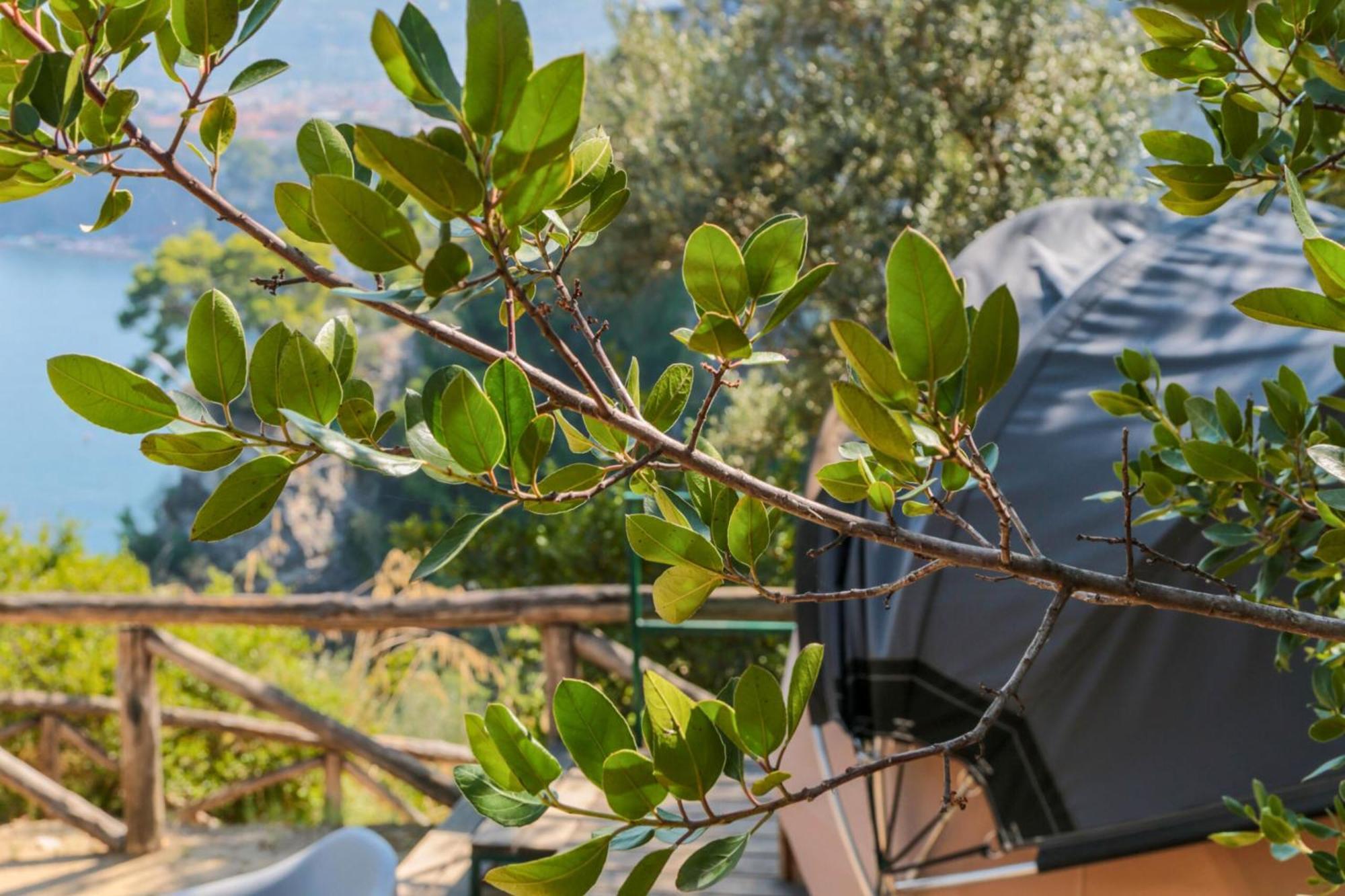 Hostel & Glamping Santa Fortunata Półwysep Sorrentyński Zewnętrze zdjęcie